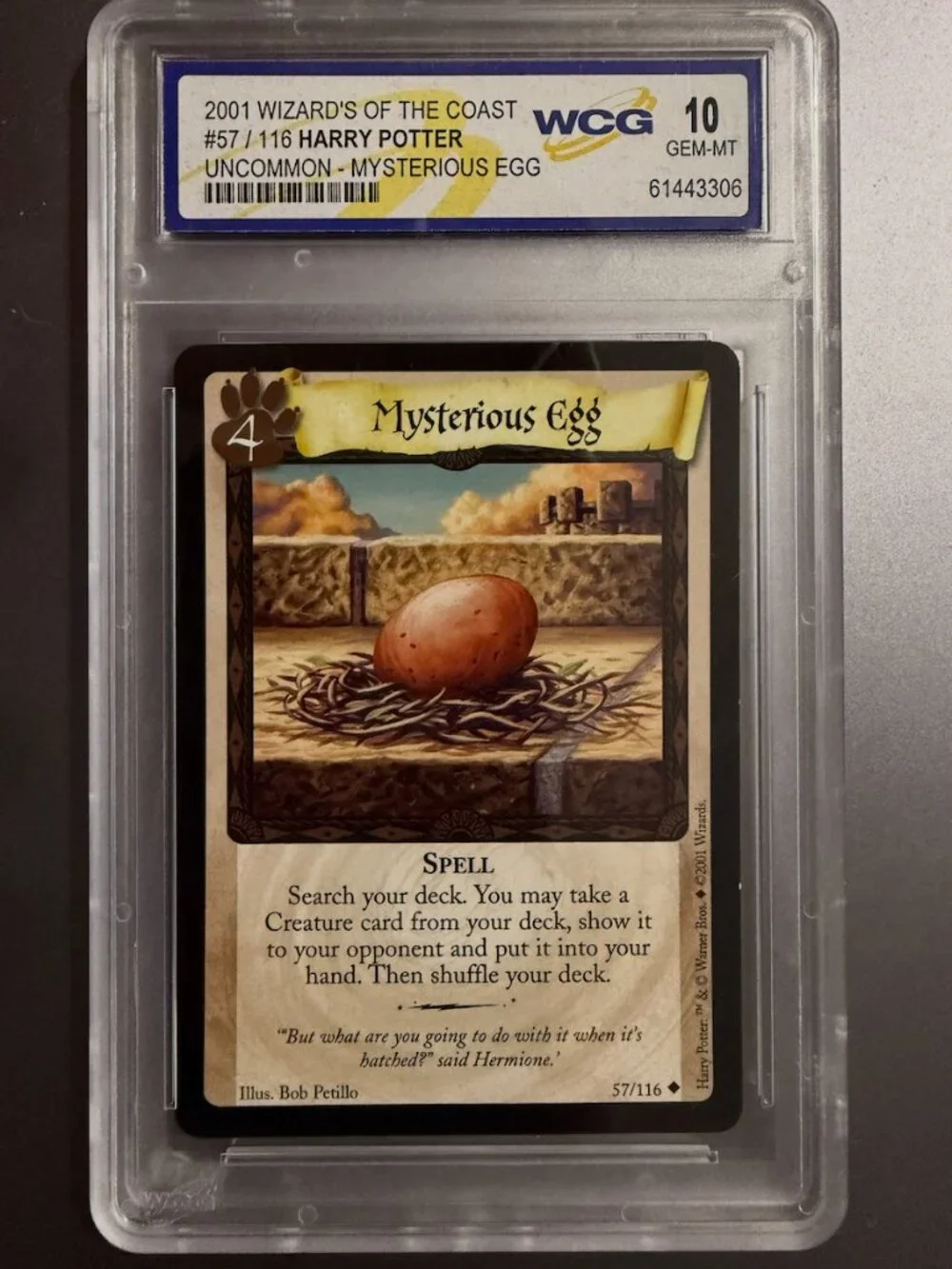 Mysterious Egg #57 | 2001 Wizards of the Coast | WCG 10